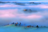 549 - MISTY SUNRISE NR 1 - TOMELLERI GIUSEPPE - italy